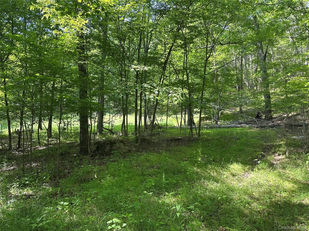 804 Hearts Content Road Cairo, NY 12413