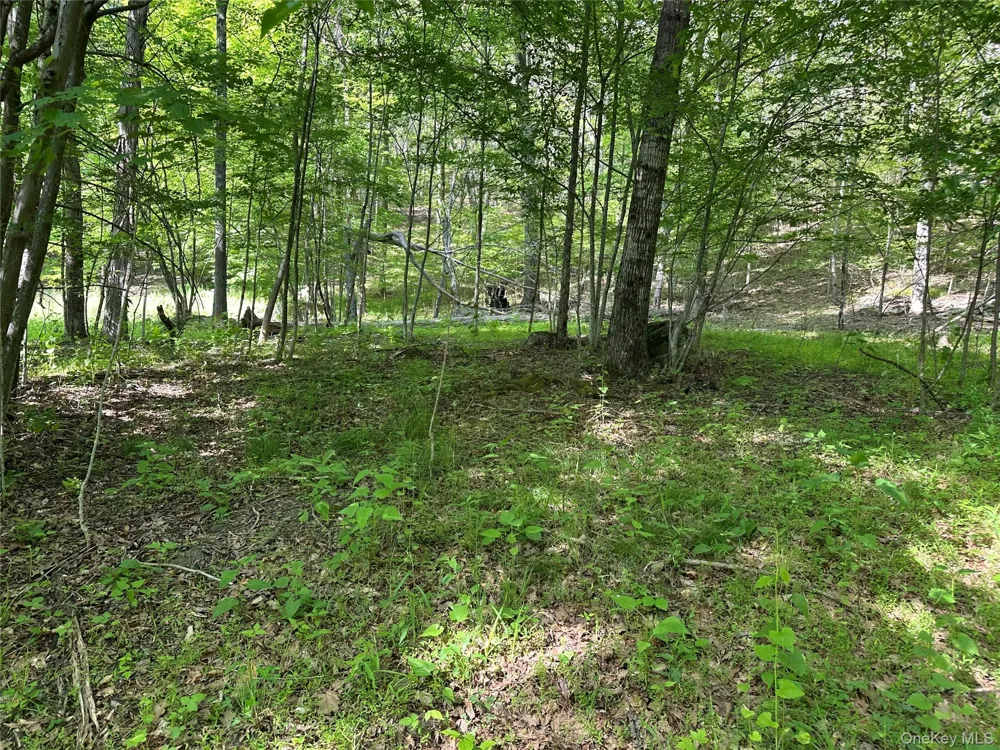 804 Hearts Content Road Cairo, NY 12413