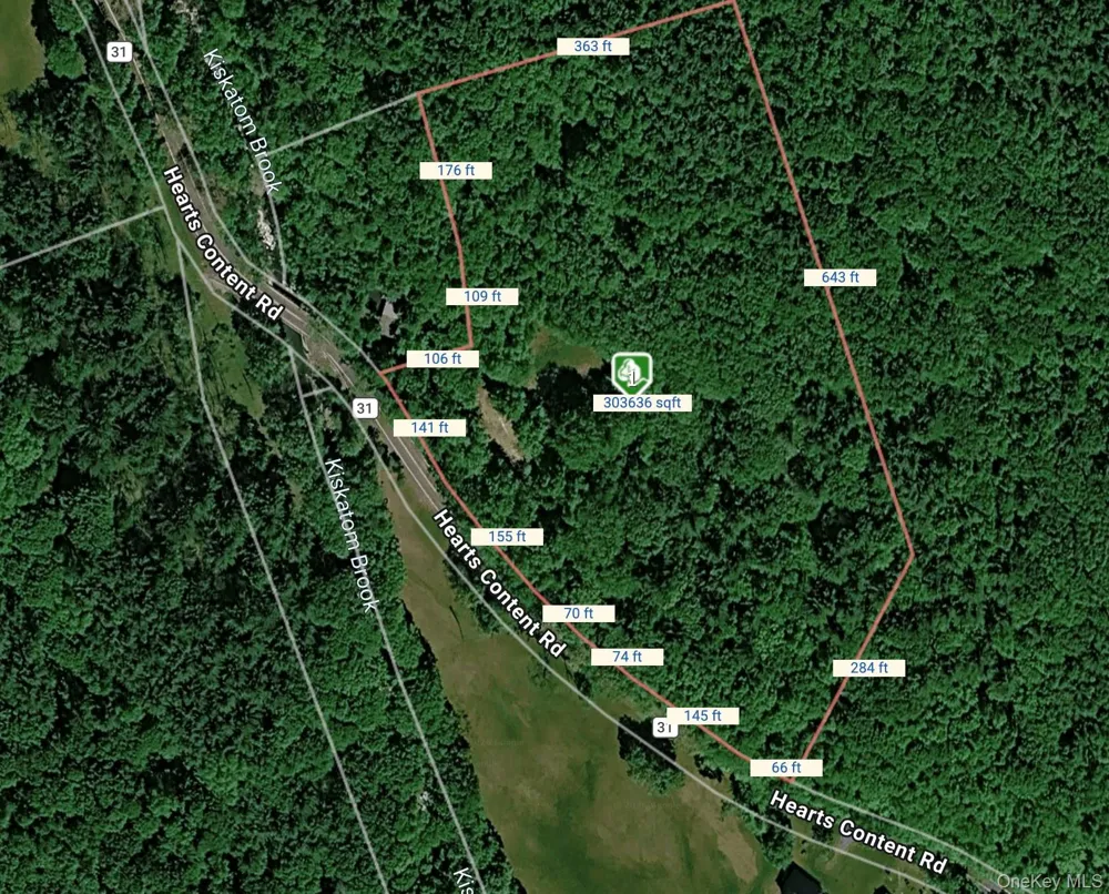 804 Hearts Content Road Cairo, NY 12413