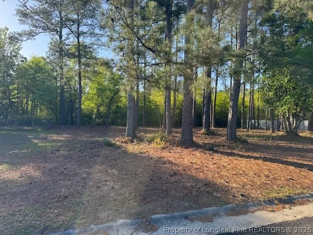 213 Waddell Drive Fayetteville, NC 28301