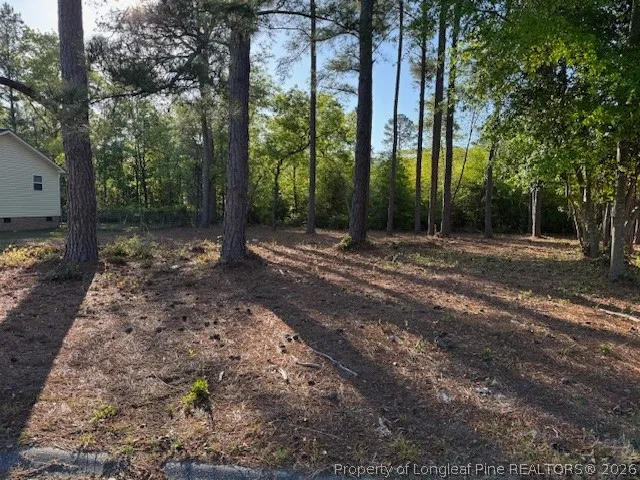 213 Waddell Drive Fayetteville, NC 28301