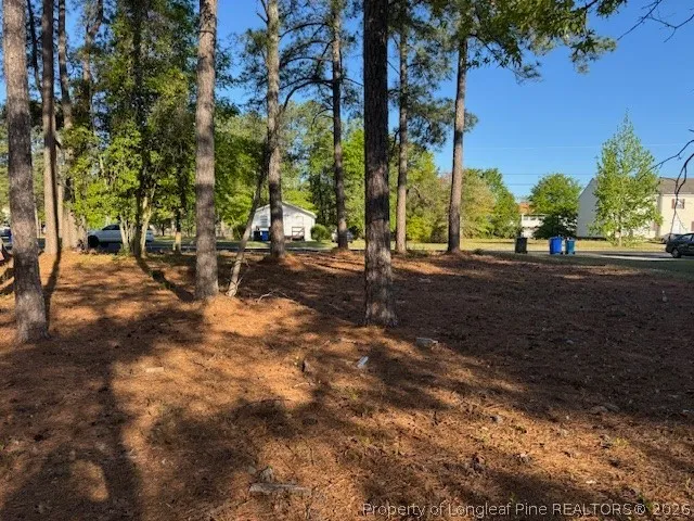 213 Waddell Drive Fayetteville, NC 28301