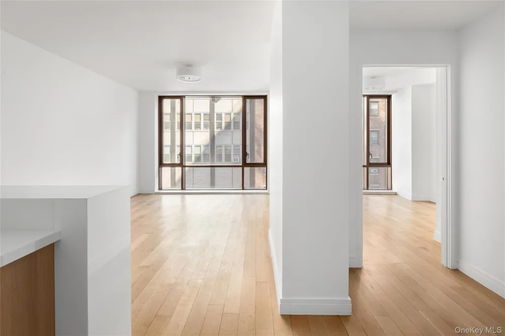 230 E 20th Street #Apt 52 New York (Manhattan), NY 10003