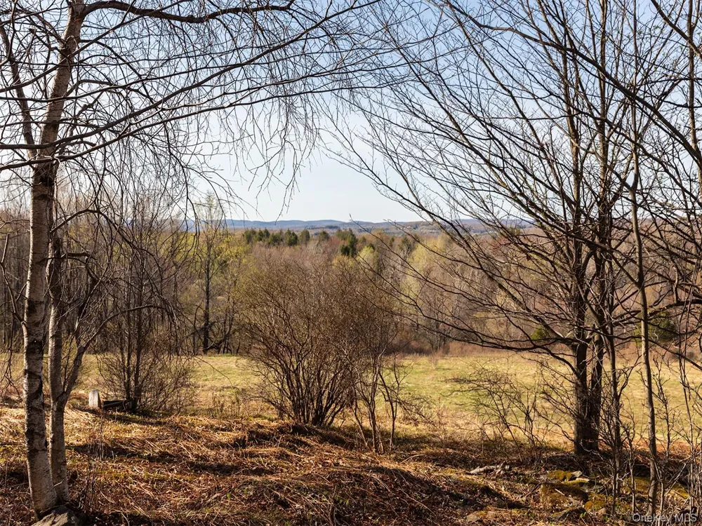 120 Snow Hill Road Parksville, NY 12768