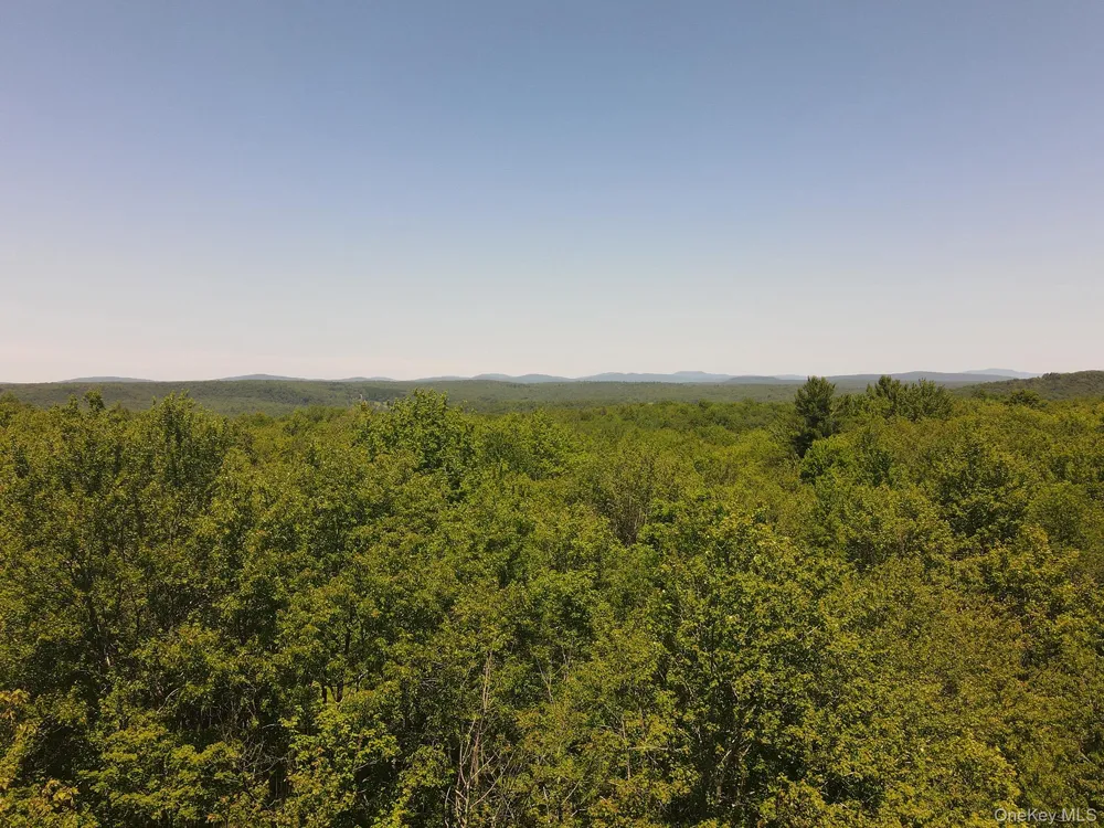 120 Snow Hill Road Parksville, NY 12768