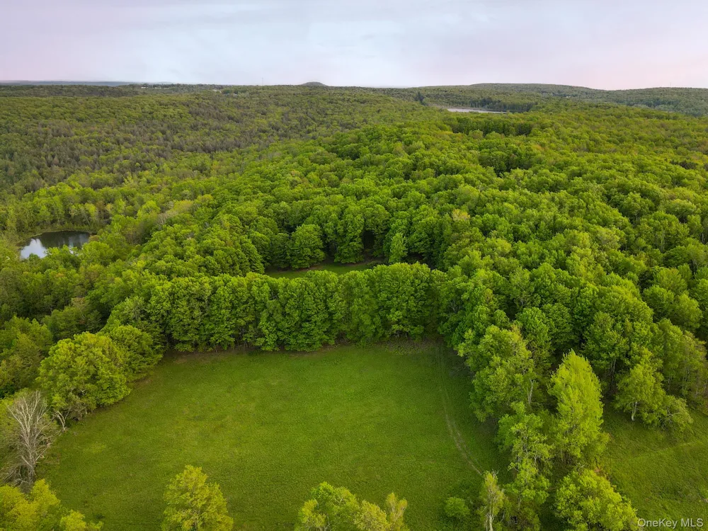 120 Snow Hill Road Parksville, NY 12768
