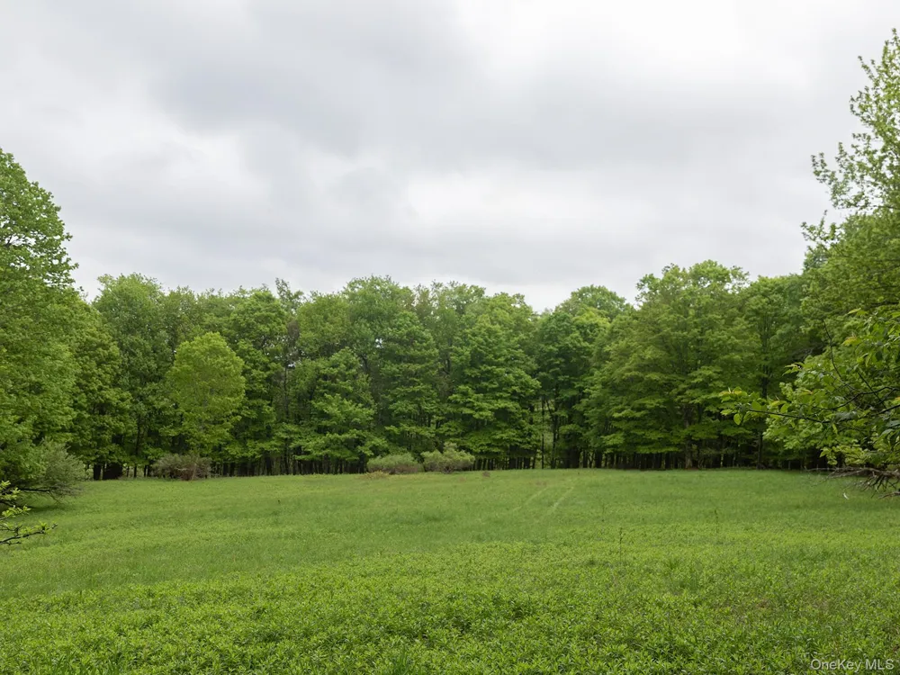 120 Snow Hill Road Parksville, NY 12768