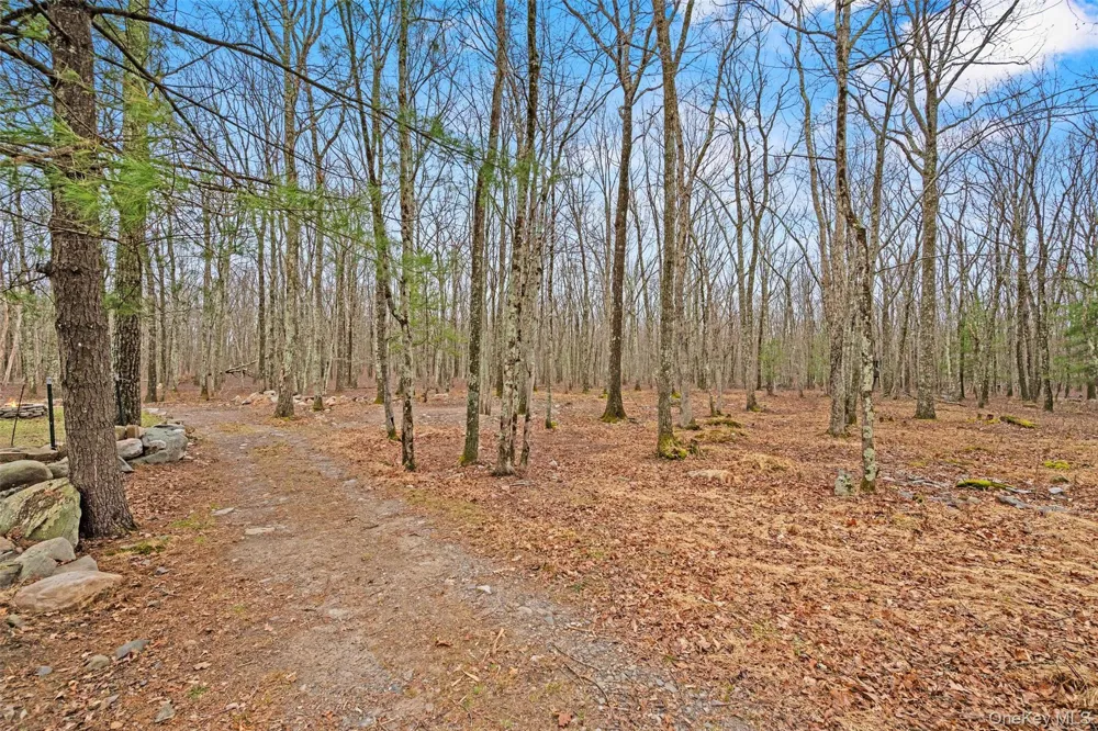563 Peenpack Trail Sparrowbush, NY 12780