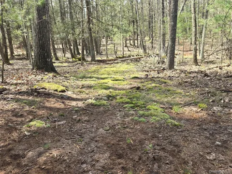 Lot 5 Evergreen Drive