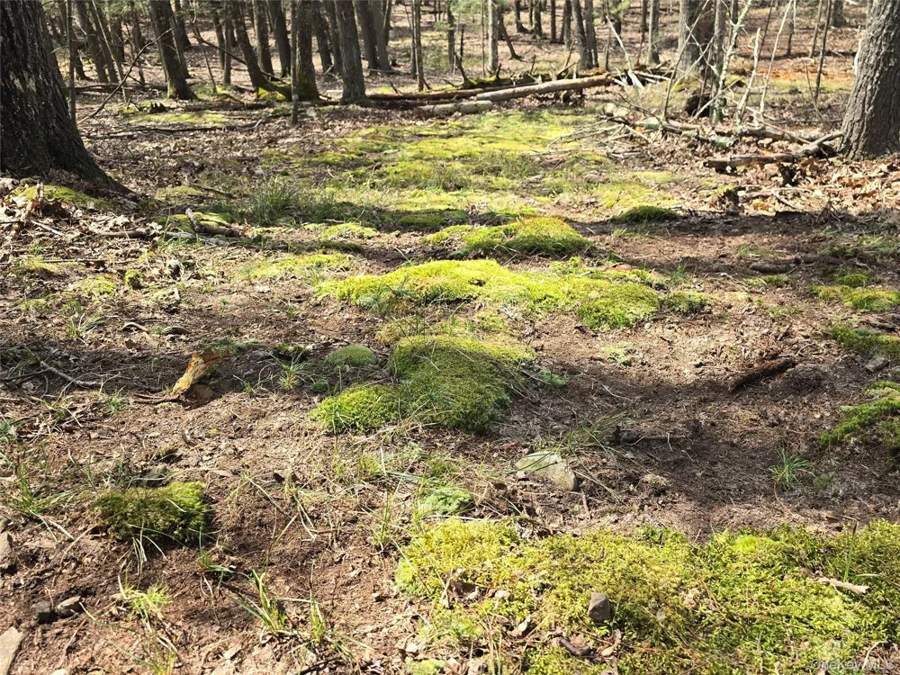 Lot 5 Evergreen Drive Saugerties, NY 12477