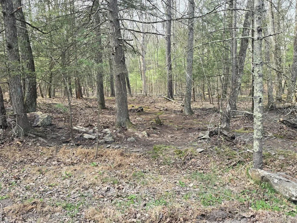 Lot 5 Evergreen Drive Saugerties, NY 12477
