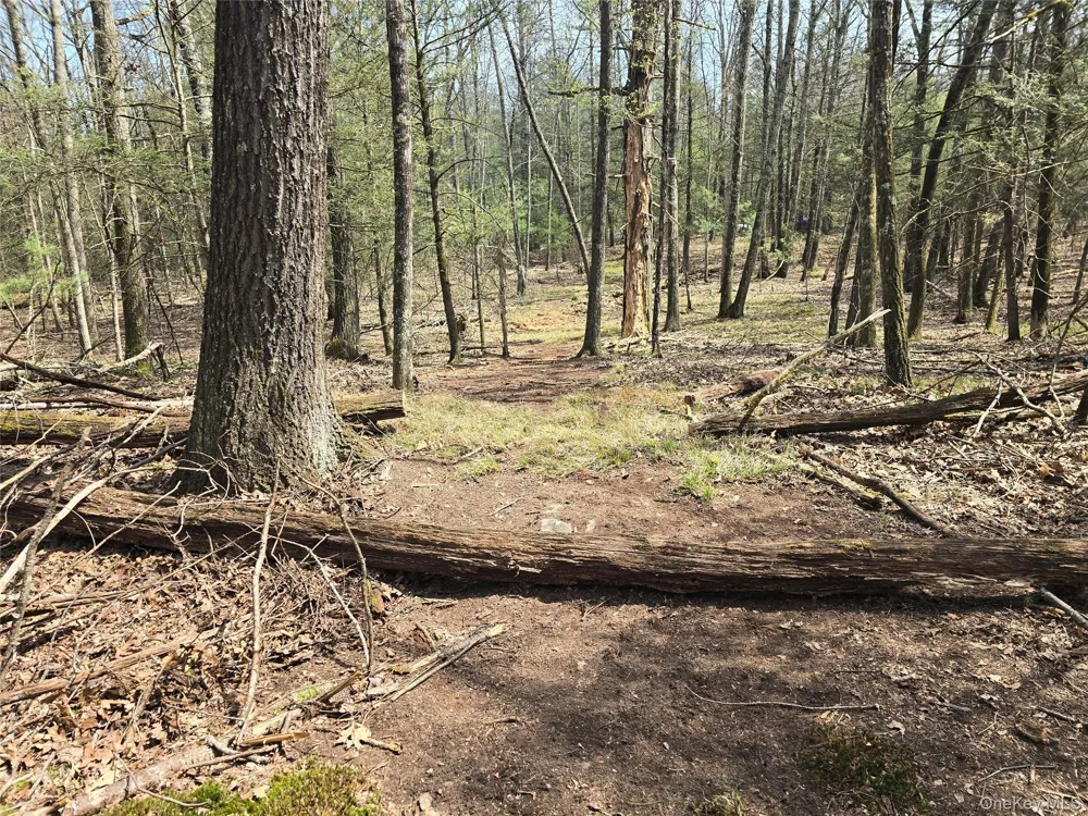 Lot 5 Evergreen Drive Saugerties, NY 12477