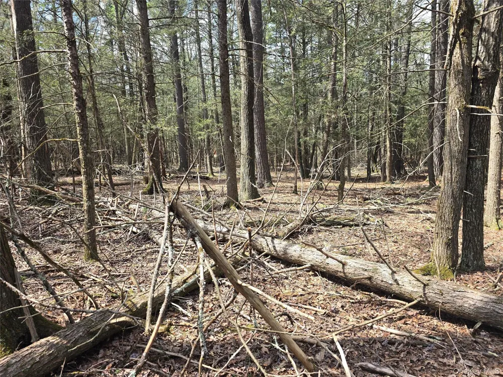 Lot 5 Evergreen Drive Saugerties, NY 12477