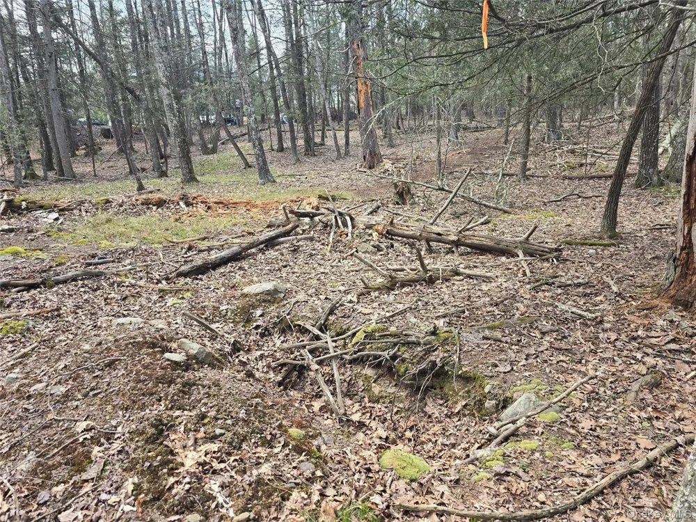 Lot 5 Evergreen Drive Saugerties, NY 12477