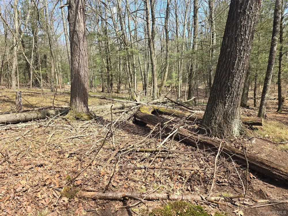 Lot 5 Evergreen Drive Saugerties, NY 12477