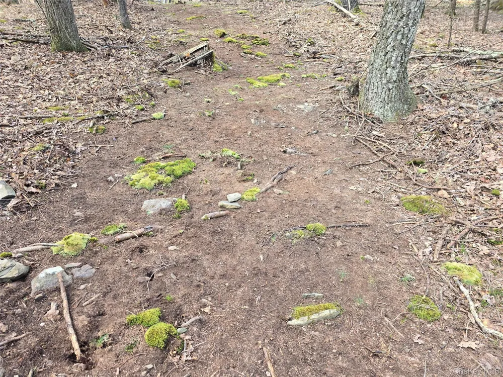 Lot 5 Evergreen Drive Saugerties, NY 12477