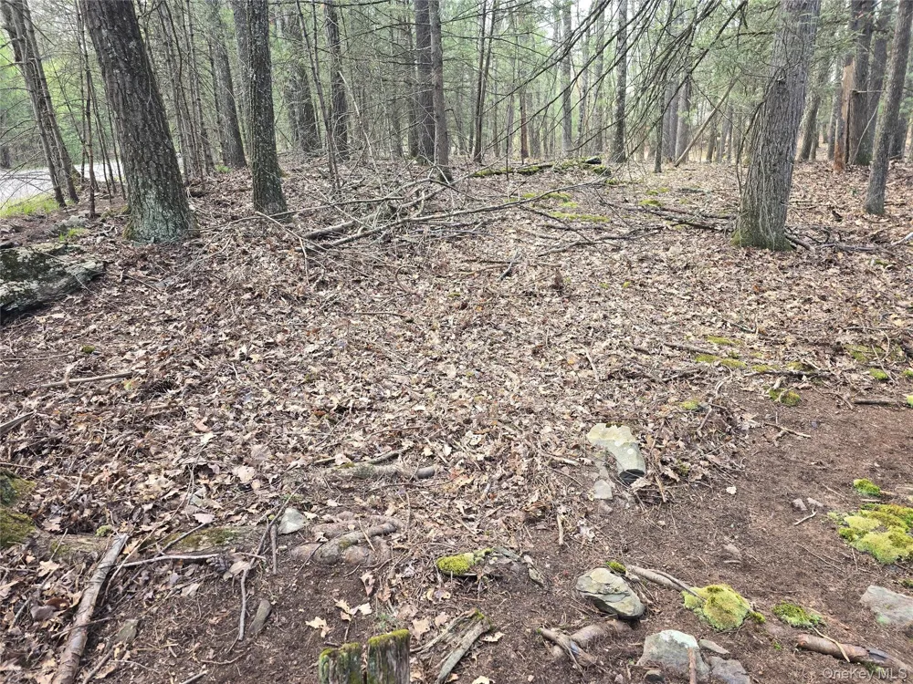 Lot 5 Evergreen Drive Saugerties, NY 12477