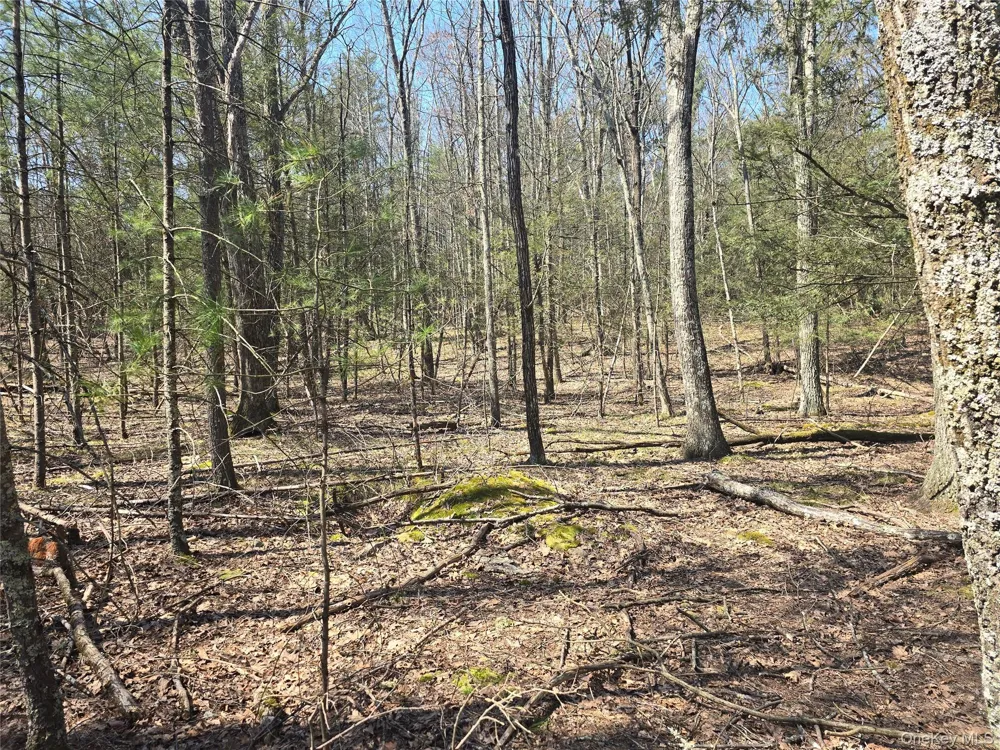 Lot 5 Evergreen Drive Saugerties, NY 12477