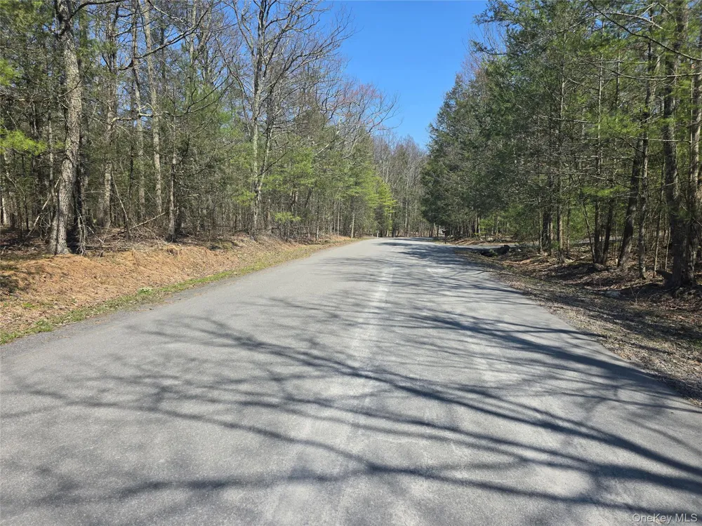 Lot 5 Evergreen Drive Saugerties, NY 12477