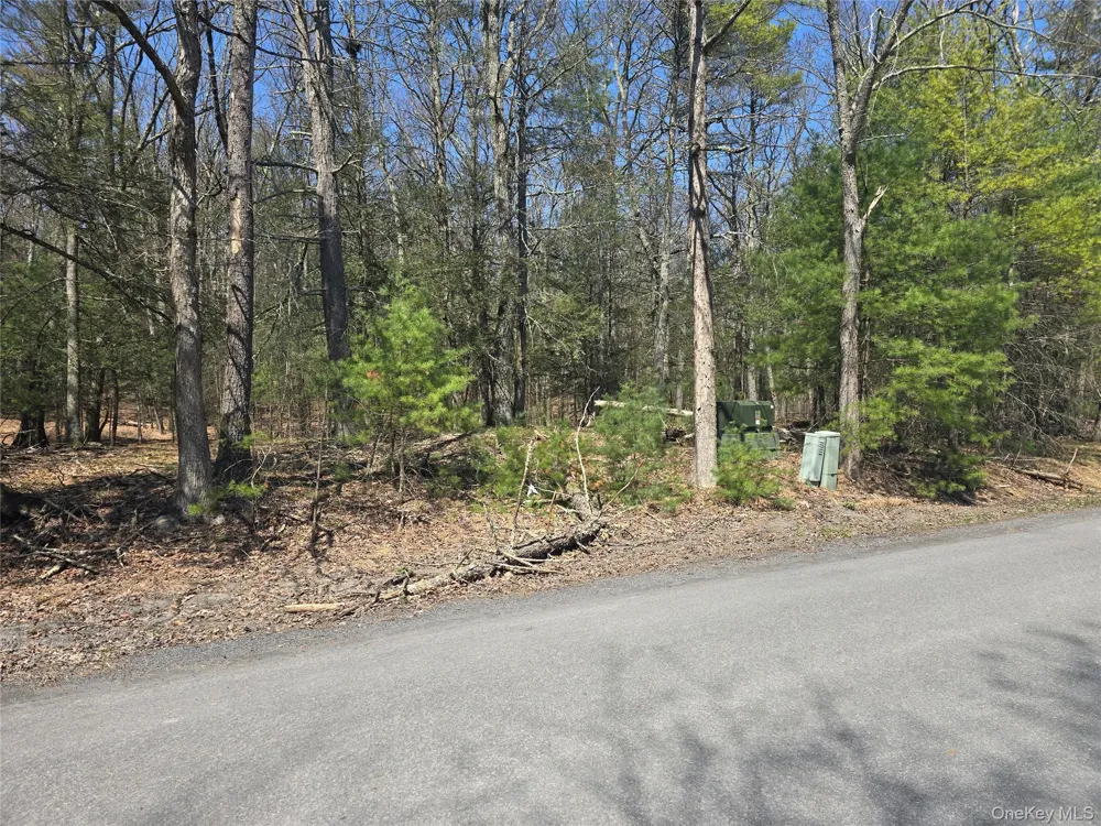 Lot 5 Evergreen Drive Saugerties, NY 12477