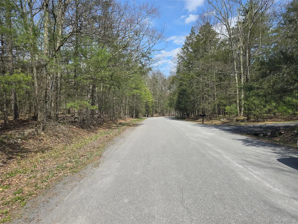 Lot 5 Evergreen Drive Saugerties, NY 12477