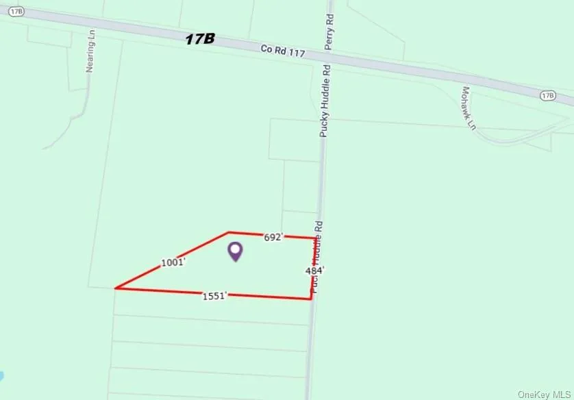 62 Pucky Huddle Road Bethel, NY 12720
