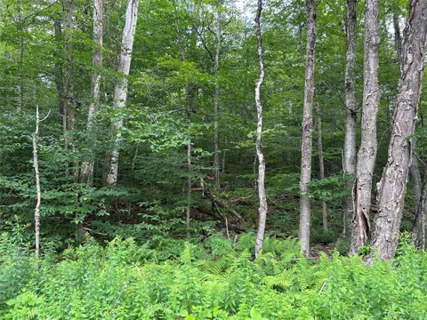 FRrost Valley Road