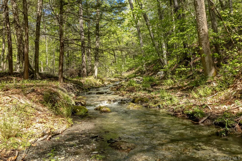 Overlook Drive Hillsdale, NY 12529