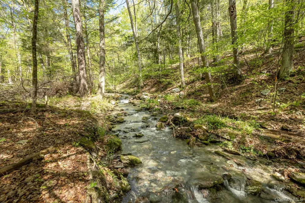 Overlook Drive Hillsdale, NY 12529