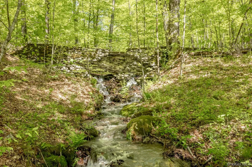 Overlook Drive Hillsdale, NY 12529