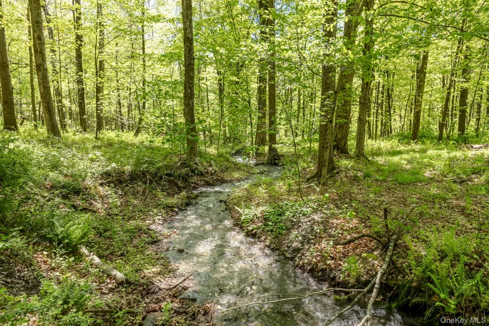 Overlook Drive Hillsdale, NY 12529