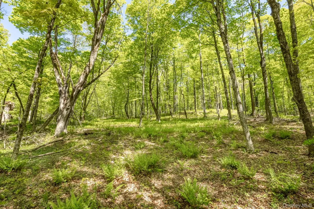 Overlook Drive Hillsdale, NY 12529