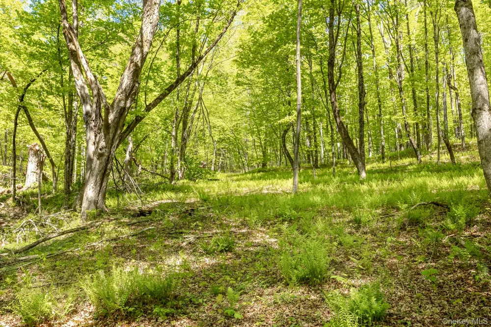 Overlook Drive Hillsdale, NY 12529