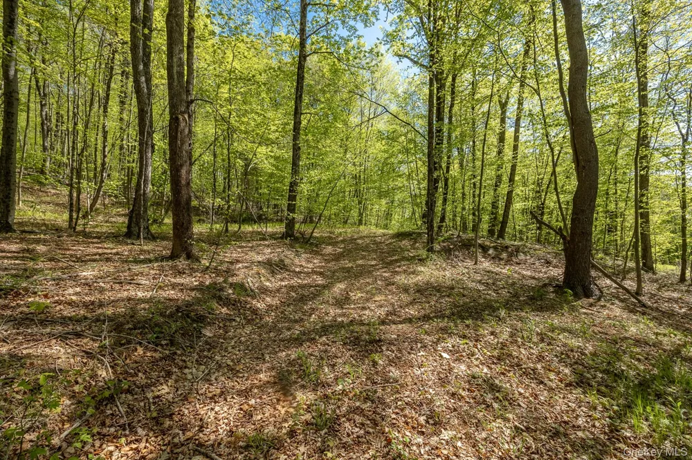 Overlook Drive Hillsdale, NY 12529