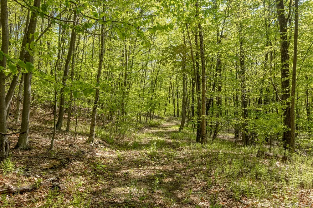 Overlook Drive Hillsdale, NY 12529