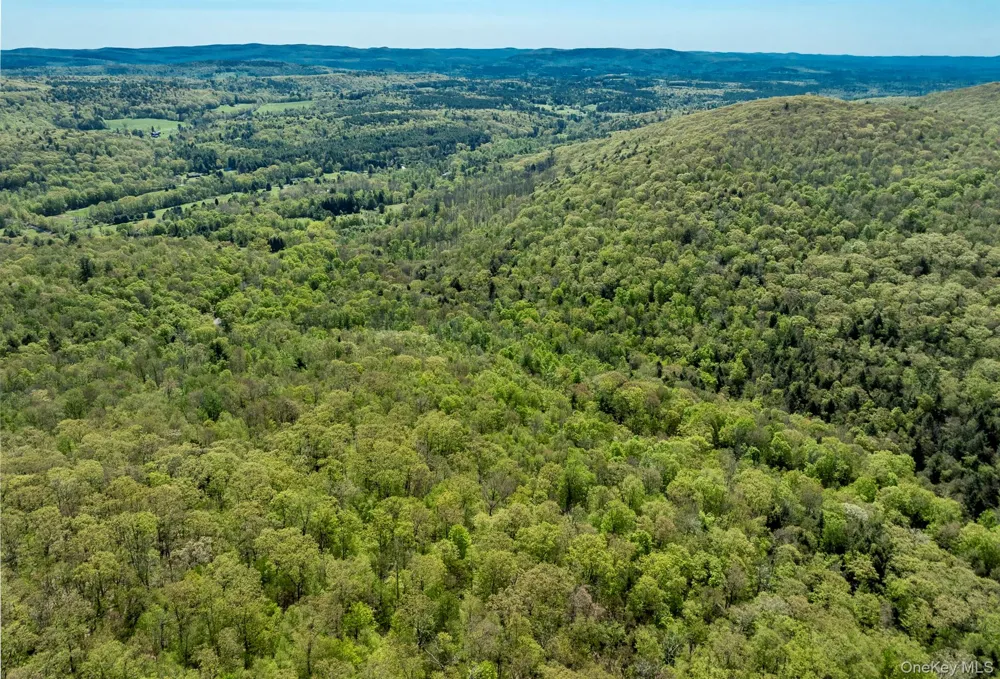 Overlook Drive Hillsdale, NY 12529