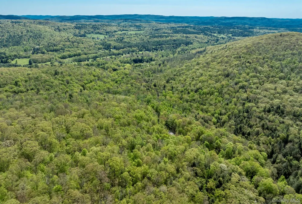 Overlook Drive Hillsdale, NY 12529