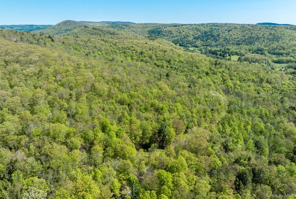 Overlook Drive Hillsdale, NY 12529