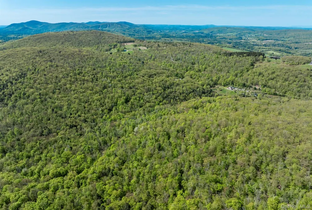 Overlook Drive Hillsdale, NY 12529