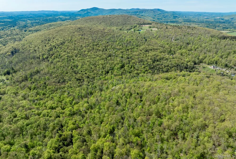 Overlook Drive Hillsdale, NY 12529