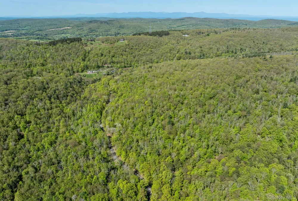 Overlook Drive Hillsdale, NY 12529