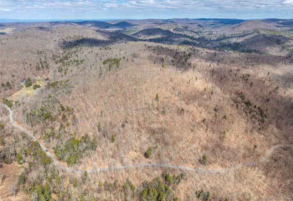 Overlook Drive Hillsdale, NY 12529