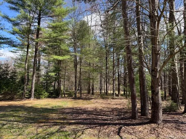 2769 State Route 55 Bethel, NY 12720