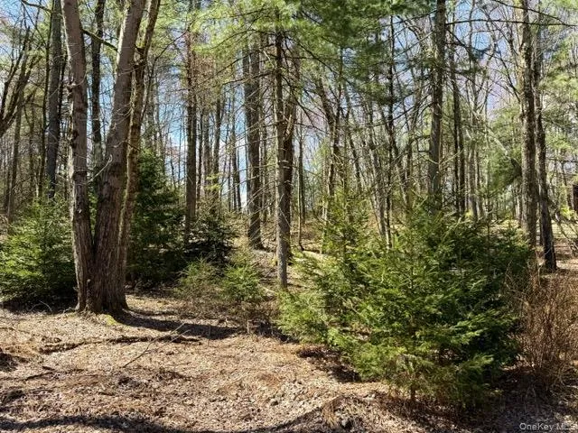 2769 State Route 55 Bethel, NY 12720