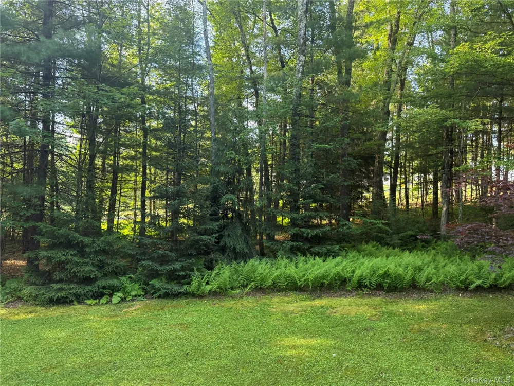 2769 State Route 55 Bethel, NY 12720