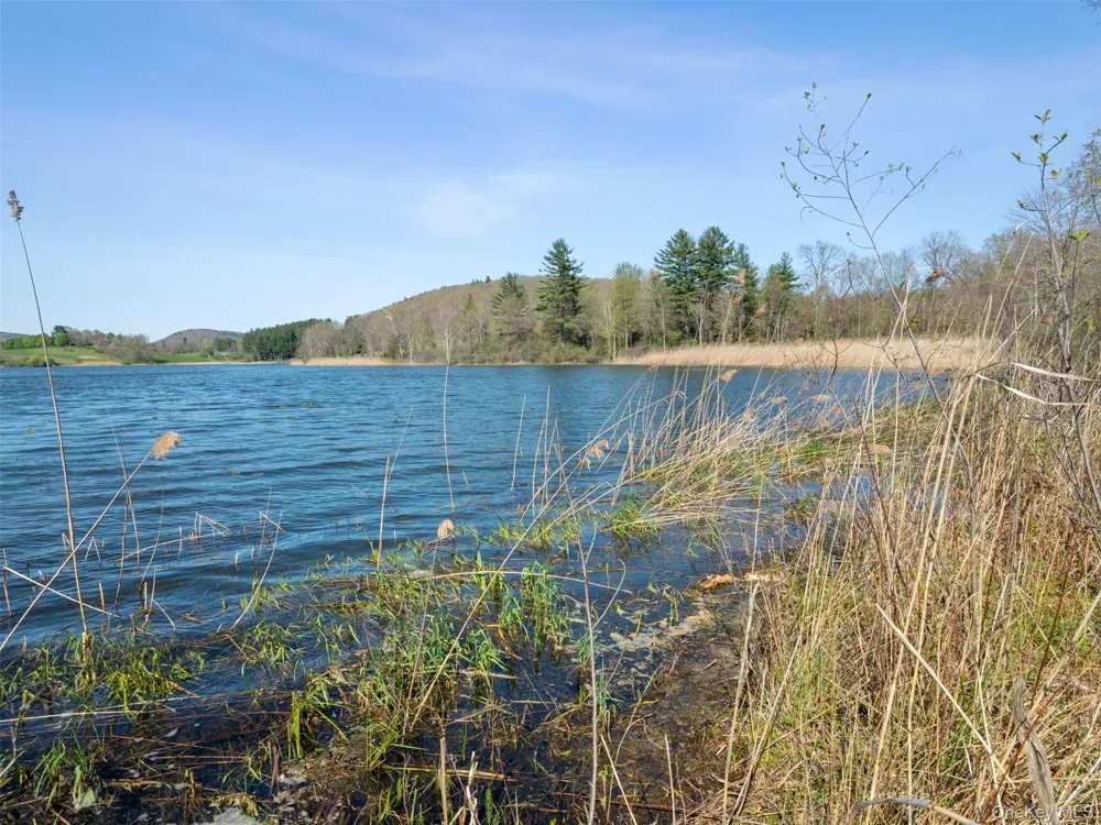 156 Sharon Station Road Amenia, NY 12501