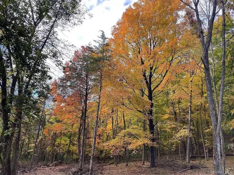 410 County Rt. 25