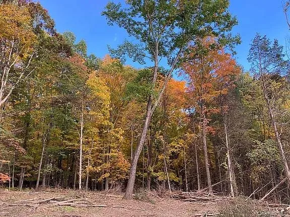 410 County Rt. 25 Hudson, NY 12434