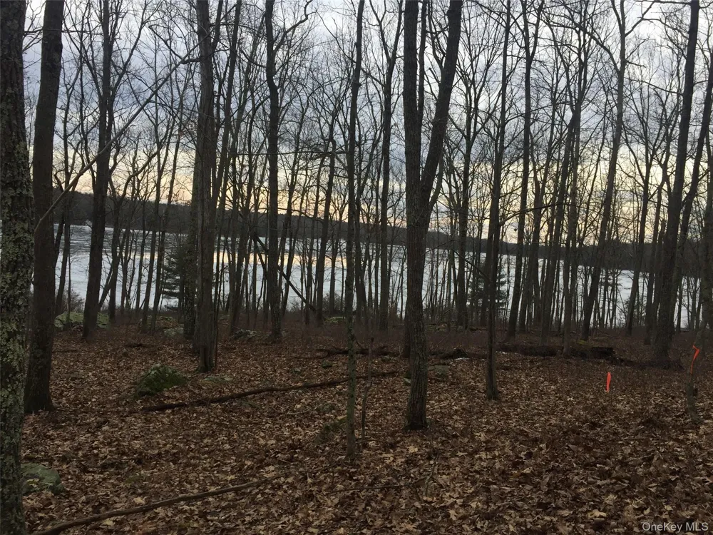 York Lake Estates Road Barryville, NY 12719