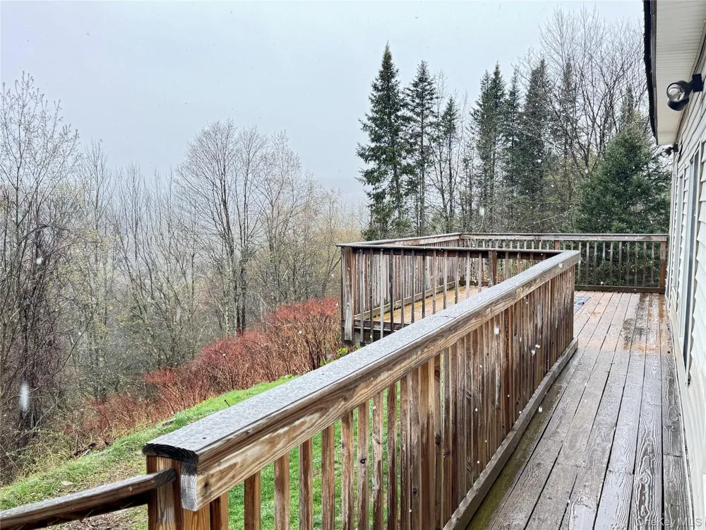 96 White Roe Lake Road Livingston Manor, NY 12758